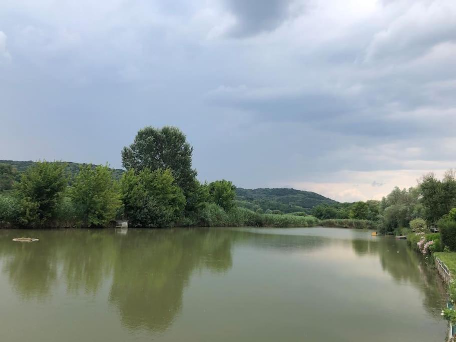 Domeglamping At Fishinglake Ságvár المظهر الخارجي الصورة